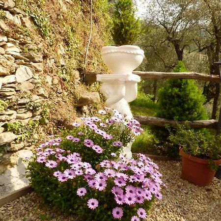 Casa Vacanze Sole Borghetto d'Arroscia Eksteriør bilde