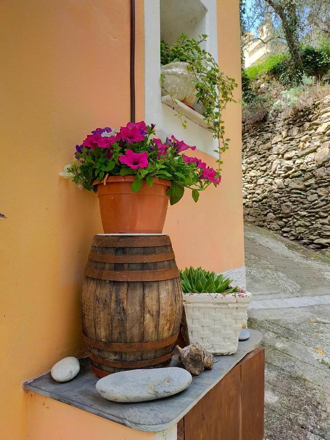 Casa Vacanze Sole Borghetto d'Arroscia Eksteriør bilde
