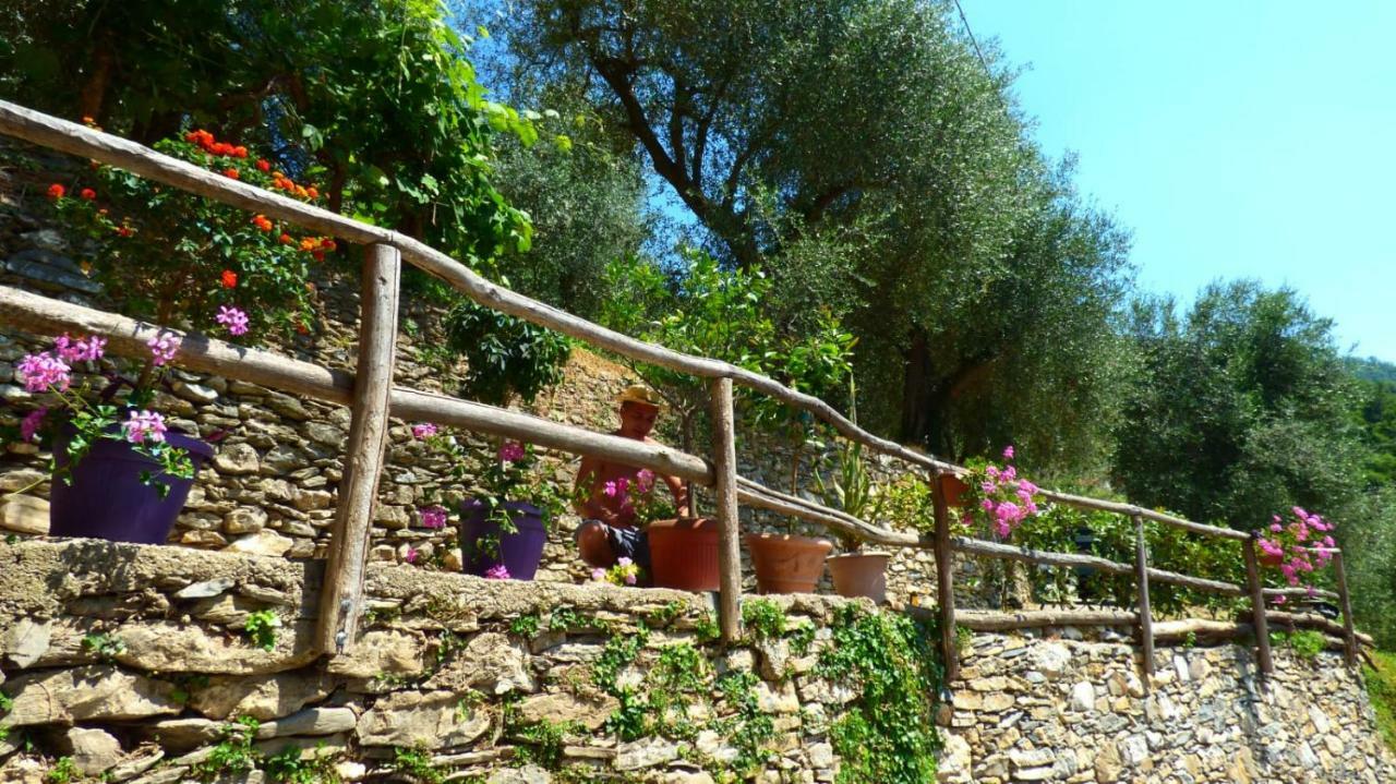 Casa Vacanze Sole Borghetto d'Arroscia Eksteriør bilde